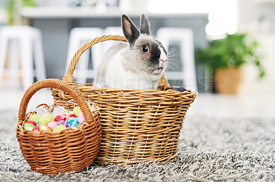 Buy stock photo Shot of a cute rabbit sitting in a basket with eggs at home
