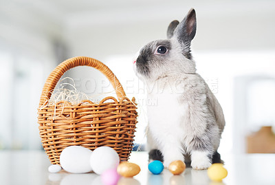 Buy stock photo Shot of a cute rabbit sitting next to a basket with eggs at home