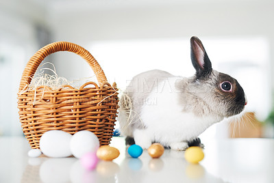Buy stock photo Shot of a cute rabbit sitting next to a basket with eggs at home