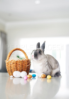 Buy stock photo Shot of a cute rabbit sitting next to a basket with eggs at home