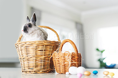 Buy stock photo Shot of a cute rabbit sitting in a basket with eggs at home