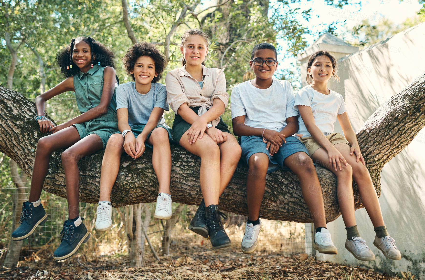 Buy stock photo Friends, portrait or children on tree trunk with smile, positive growth or bonding on summer break. Happy, group of kids with connection, peer adventure and social development in outdoor holiday.