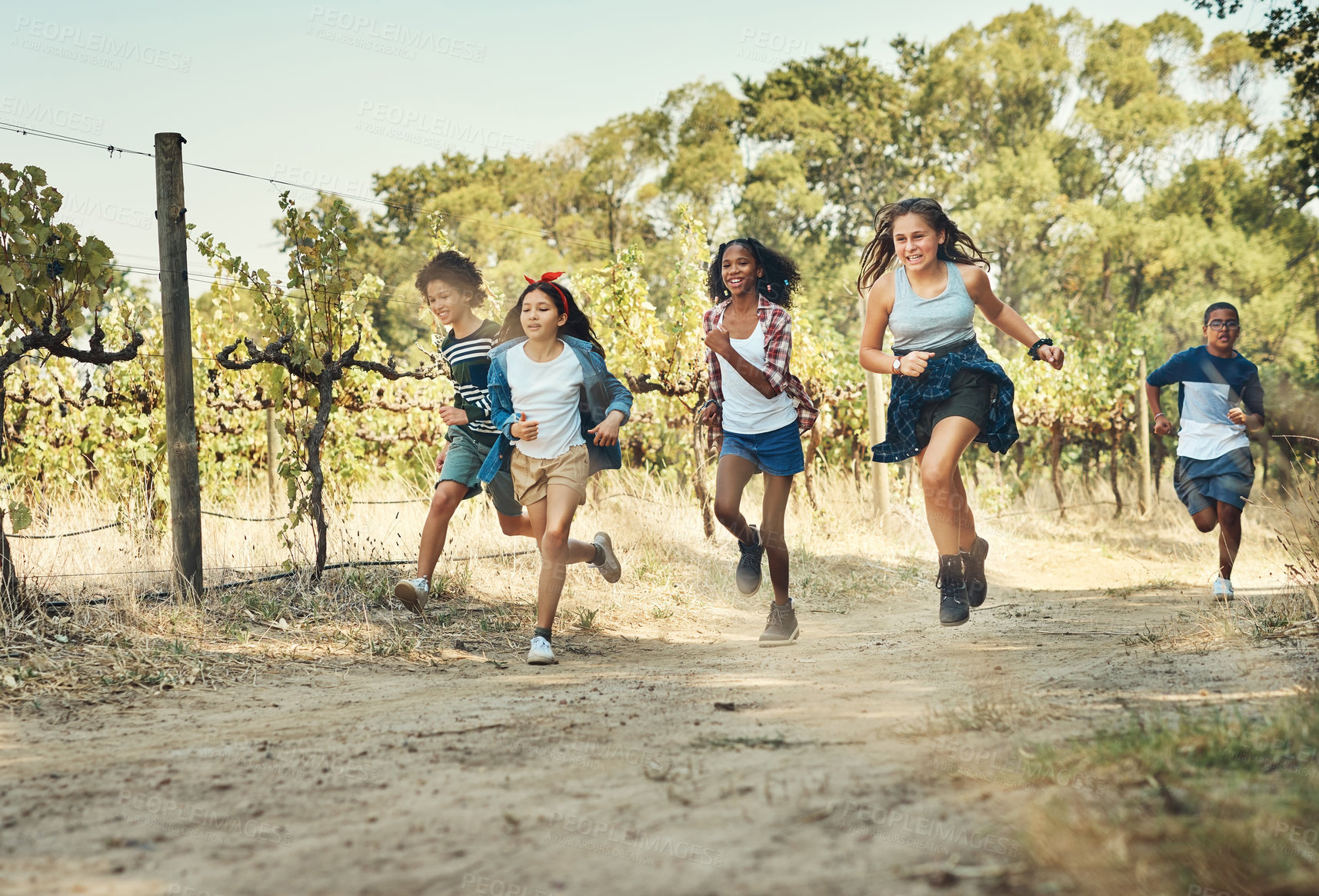 Buy stock photo Shot of a group of teenagers running through nature at summer camp