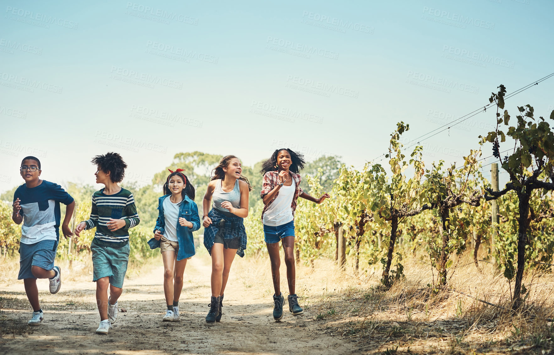 Buy stock photo Shot of a group of teenagers running through nature at summer camp