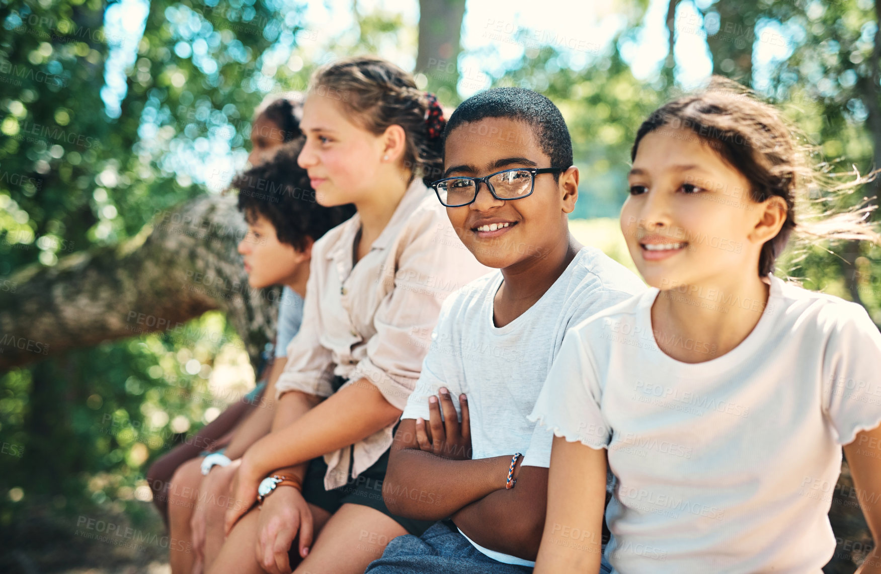 Buy stock photo Shot of a group of teenagers sitting on a tree trunk at summer camp