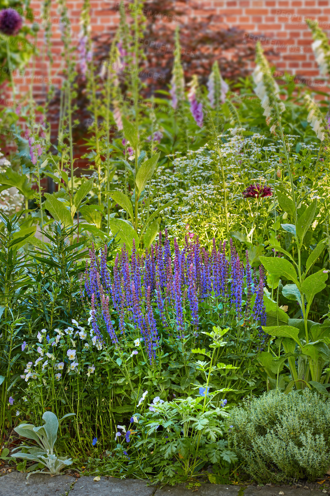 Buy stock photo A series of beautiful garden photos