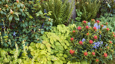 Buy stock photo A photo of beautiful garden details