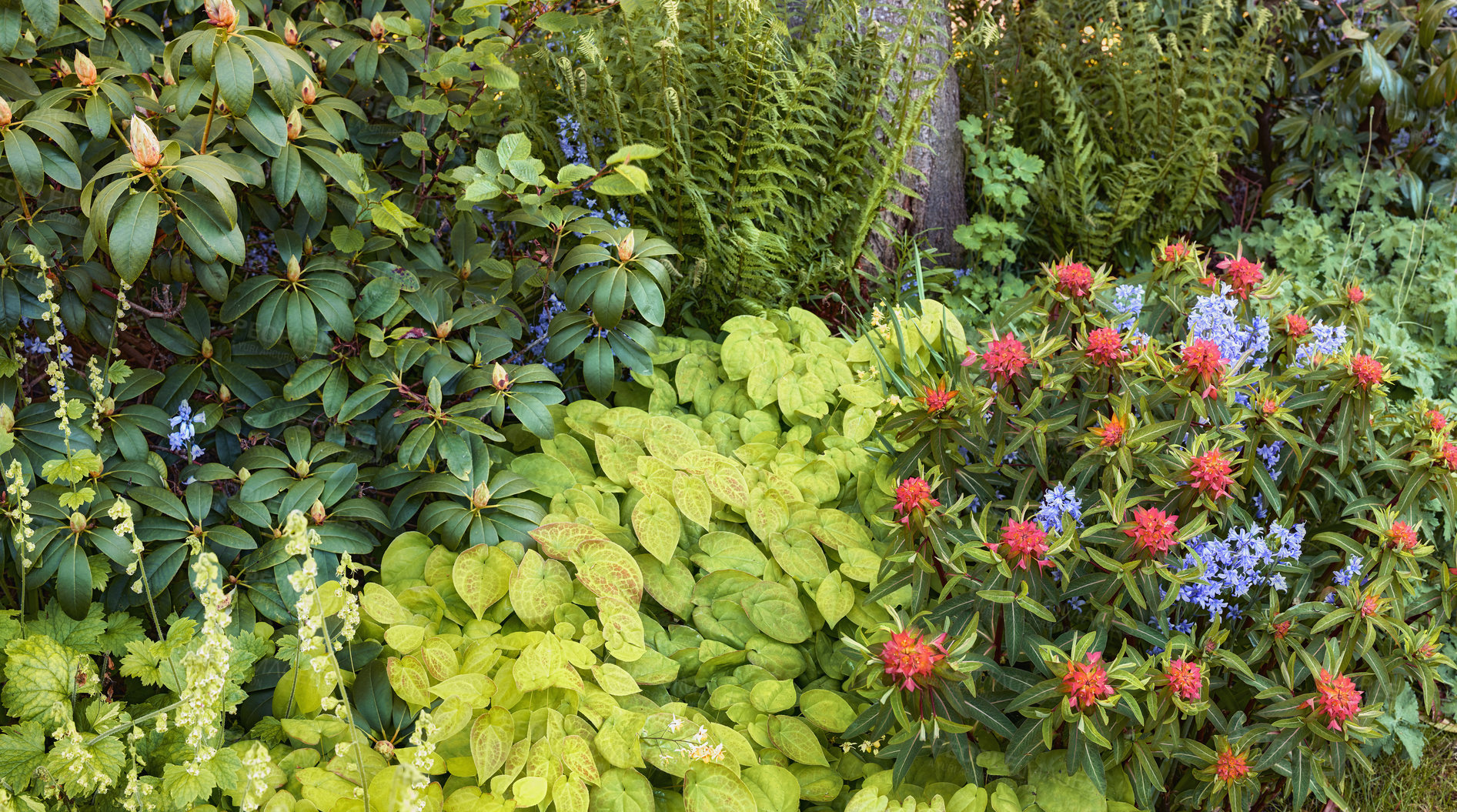 Buy stock photo A photo of beautiful garden details