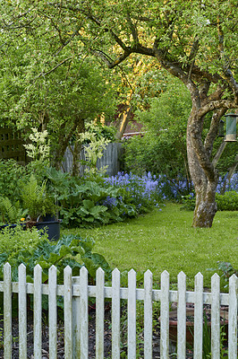 Buy stock photo A series of beautiful garden photos