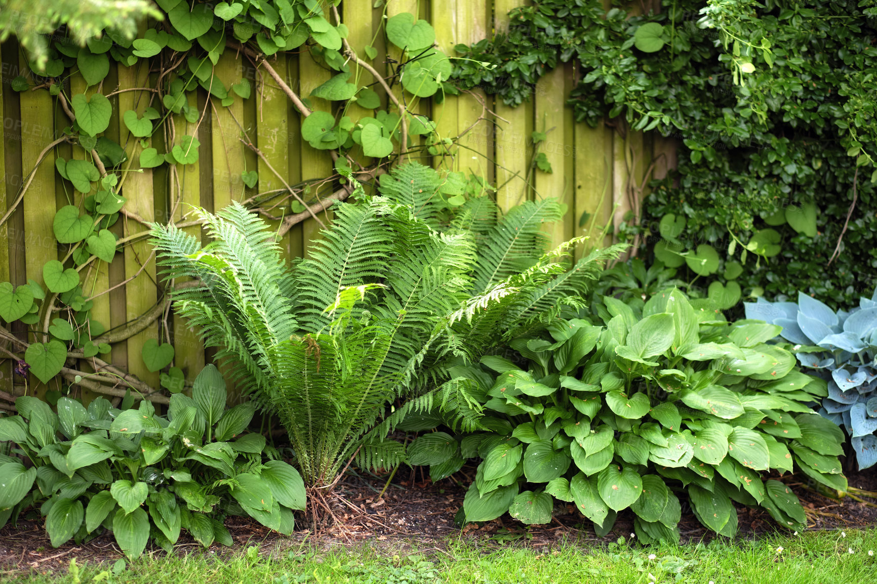 Buy stock photo A series of beautiful garden photos