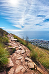 Mountain trails - Lion's Head and Table Mountaion