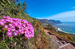 Mountain trails - Lion's Head and Table Mountaion