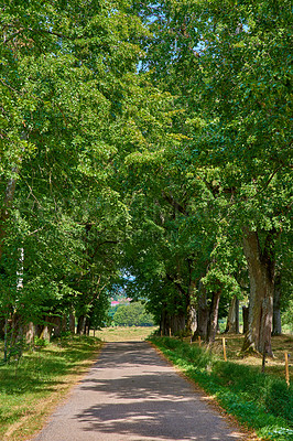 Countryside, farmland and forest - close to Lyon, France