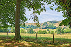 Countryside, farmland and forest - close to Lyon, France