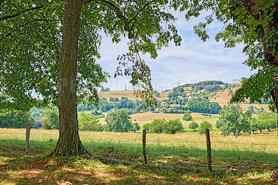 Buy stock photo A green countryside landscape of trees and a blue sky in nature. Beautiful natural farm view of fresh fields, grass, and plants in a valley. Charming farming agricultural land in summer.