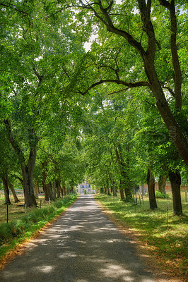 Buy stock photo Beautiful nature walking trail or road in a forest surrounded by plants and trees on an Autumn or Spring day. Woods in the countryside with green grassy fields leading to a villa building in France