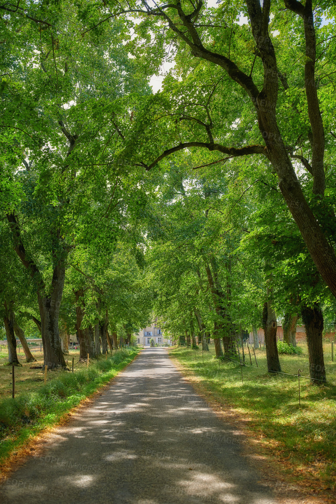 Buy stock photo Beautiful nature walking trail or road in a forest surrounded by plants and trees on an Autumn or Spring day. Woods in the countryside with green grassy fields leading to a villa building in France