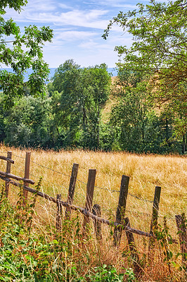 Buy stock photo Countryside farm land with a fence and a blue cloudy sky background. Landscape of a sustainable agriculture farmland with hay like grass and trees in a green environment with barb wire barrier