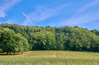 Buy stock photo Fresh outdoor field of land and trees in summer. Big blue sky clean cut grass with fields and forest. Natural view of open green landscape in the outdoors of nature on a sunny day.