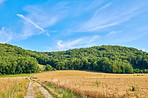 Countryside, farmland and forest - close to Lyon, France