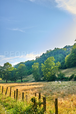 Buy stock photo Rural farm land with green trees in the quiet countryside growing on a forest hill on sunny day in France. Peaceful and calm nature landscape of wheat fields and pasture outside Lyon with copy space