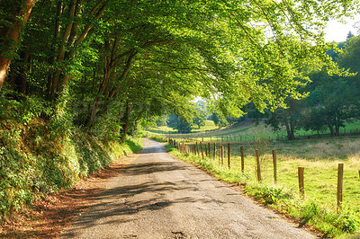 Buy stock photo A countryside road between forest trees and grassland or farm pasture in a remote area. Landscape of an empty and secluded path with leaves providing shade along farmland with greenery