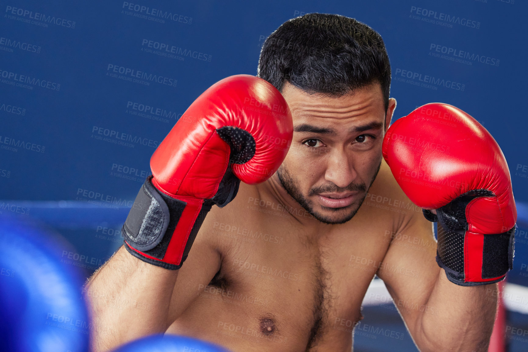 Buy stock photo Cropped shot of a handsome young male boxer standing with his guard up during a fight in the ring
