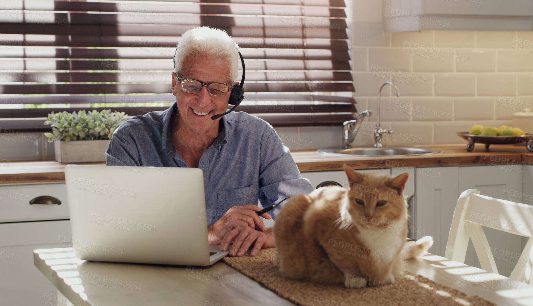 Buy stock photo Laptop, pet and man with headset in home with customer service consultation for online crm. Technology, cat and mature male technical support or telemarketing agent working on computer in kitchen.
