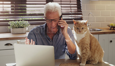 Buy stock photo Laptop, cat and man with phone call in home with customer service consultation for online crm. Computer, pet and mature male technical support agent on mobile discussion with cellphone in kitchen.