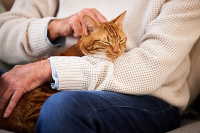 Buy stock photo Shot of a mature man stroking his cat