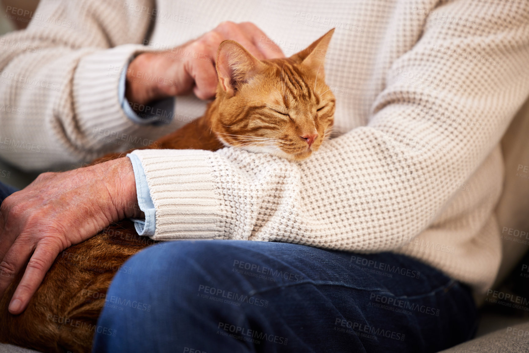 Buy stock photo Shot of a mature man stroking his cat