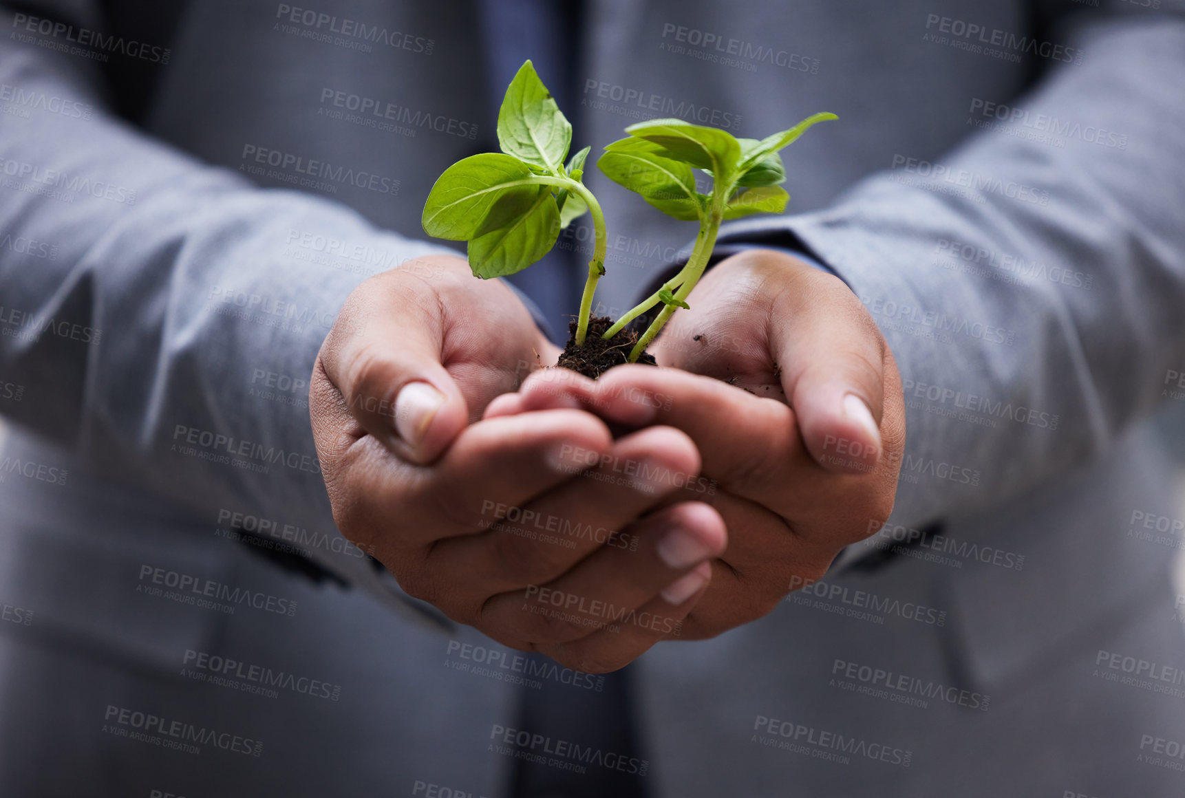 Buy stock photo Shot of an unrecognizable businessman holding a plant at the office