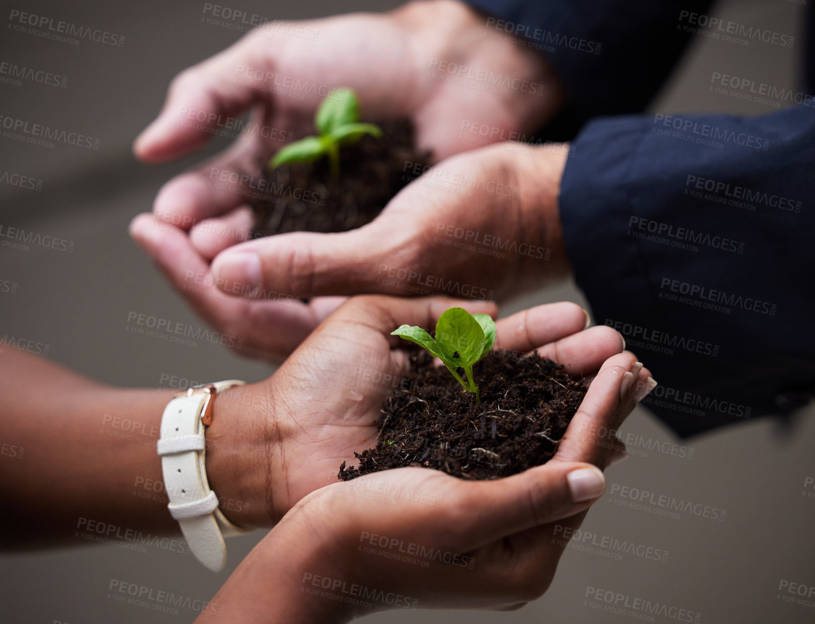 Buy stock photo Shot of a group of unrecognizable businesspeople holding plants at the office