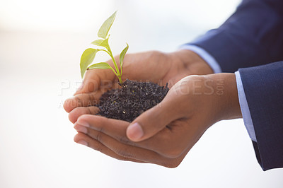 Buy stock photo Shot of an unrecognizable businessman holding a plant growing out of soil