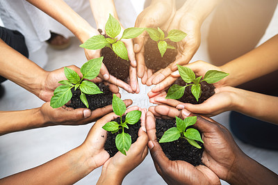 Buy stock photo Group, hands and circle with herbs for earth day or environment, sustainability and diversity in ecology. Team, people or plants in soil for accountability in nature, cooperation for carbon footprint