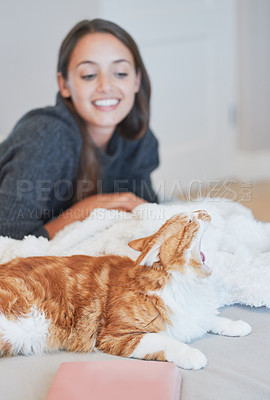 Buy stock photo Shot of a cat yawning while bonding with its owner at home