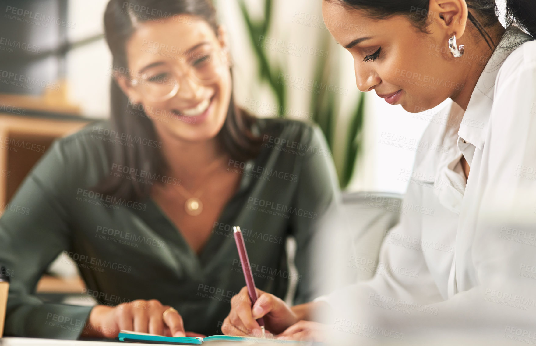 Buy stock photo Shot of two female businesswoman making notes in a notebook