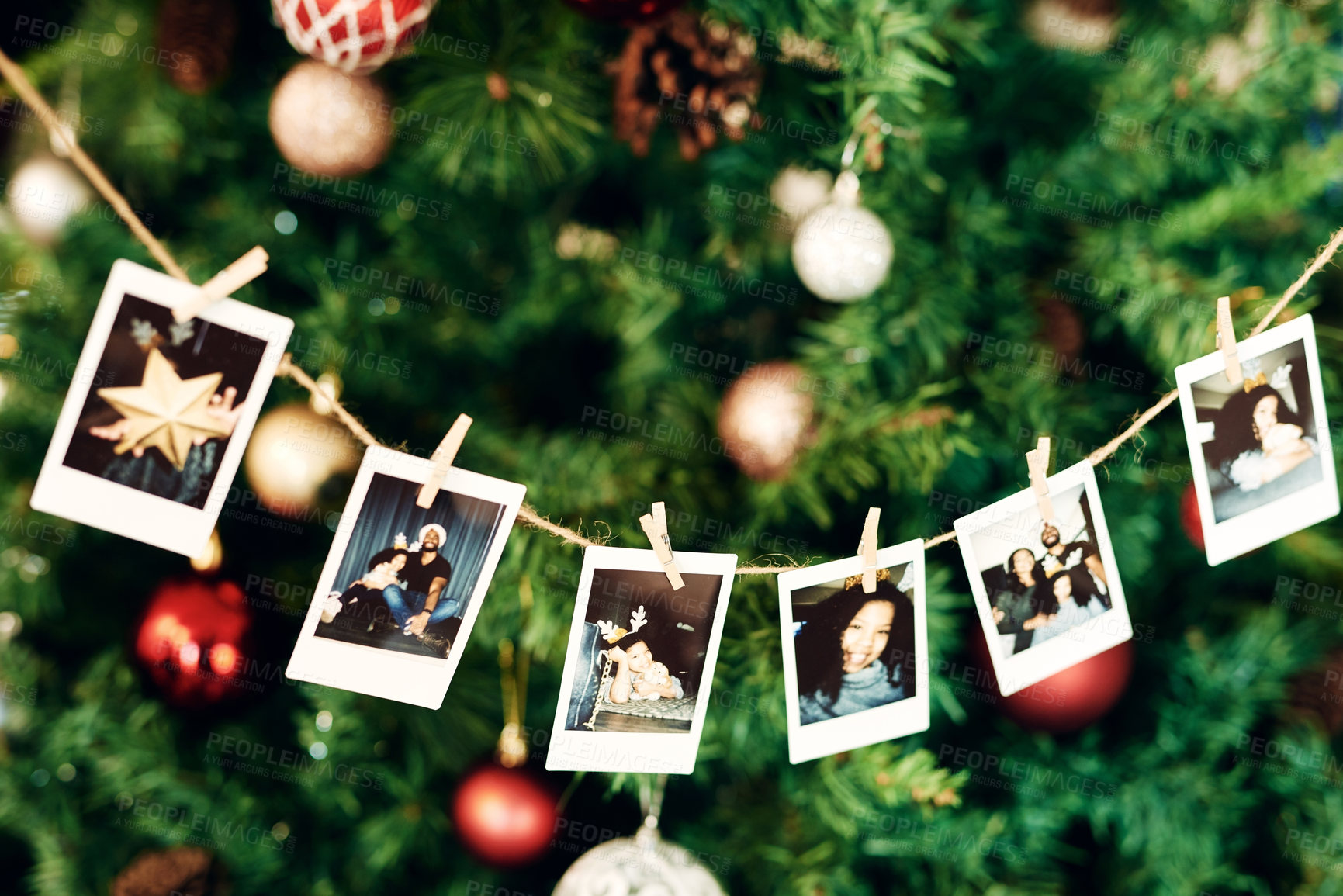 Buy stock photo Christmas, photograph and memories with a row of pictures hanging on a Christmas tree for celebration or tradition. Family, home and merry with decorations on an evergreen in the festive season