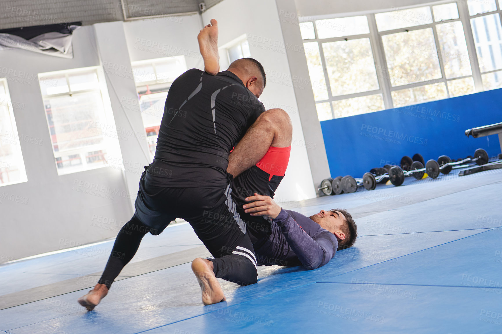 Buy stock photo Men are training, martial arts and fitness in gym with combat, jiu jitsu and students learning self defense skills. Fight, exercise and MMA with fighting sport and male people train at exercise dojo