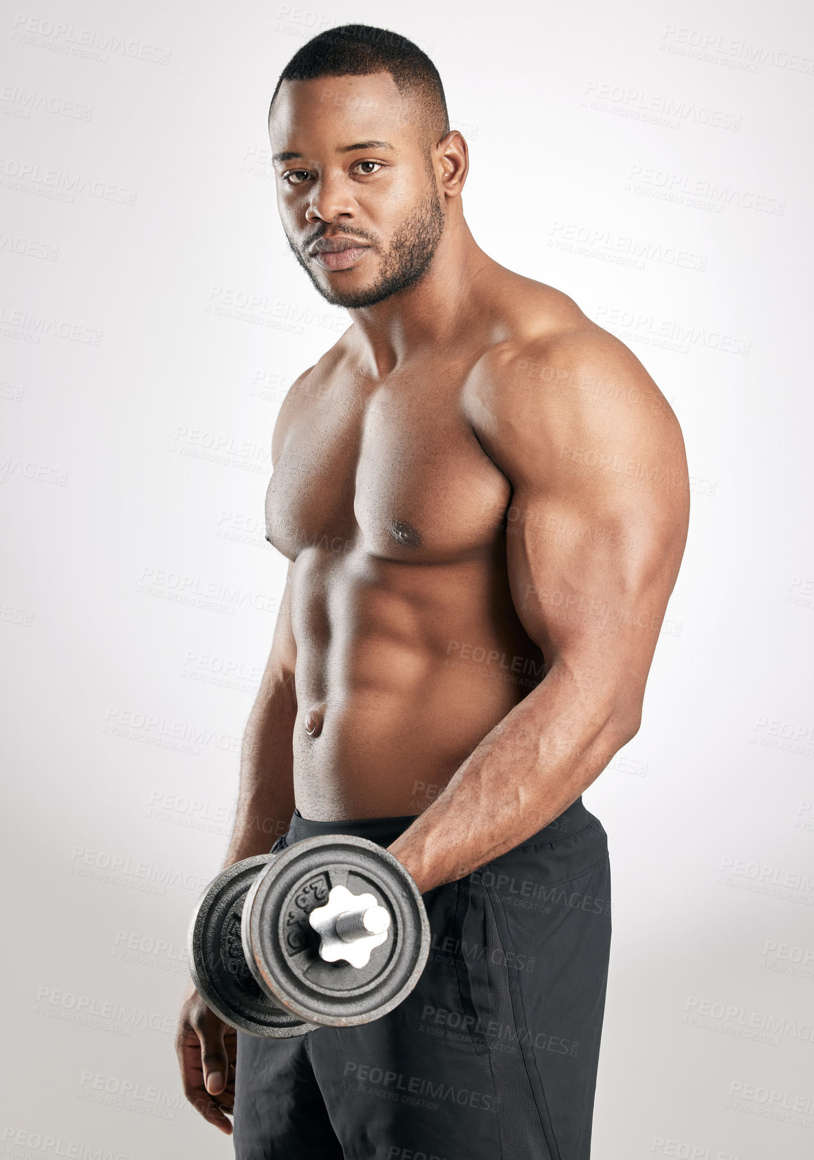 Buy stock photo Portrait, man and dumbbell in studio with muscles, bodybuilder and exercise for health and wellness training. Bicep, workout and weightlifting for strength or body goal, power and serious athlete