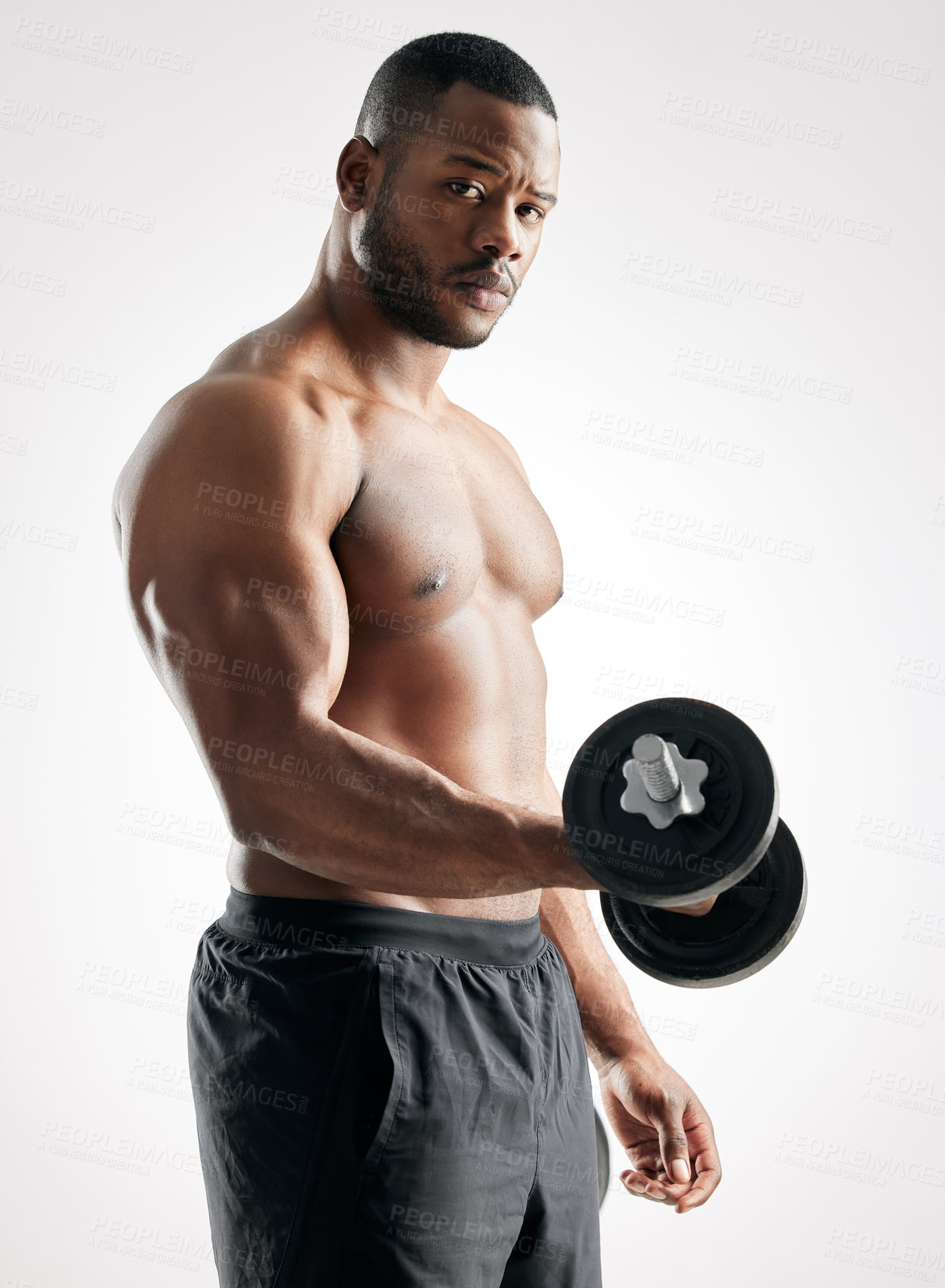 Buy stock photo Portrait, man and dumbbell in studio for body, bodybuilder and exercise for health and wellness training. Bicep, workout and weightlifting for muscle strength or goal, power and serious athlete