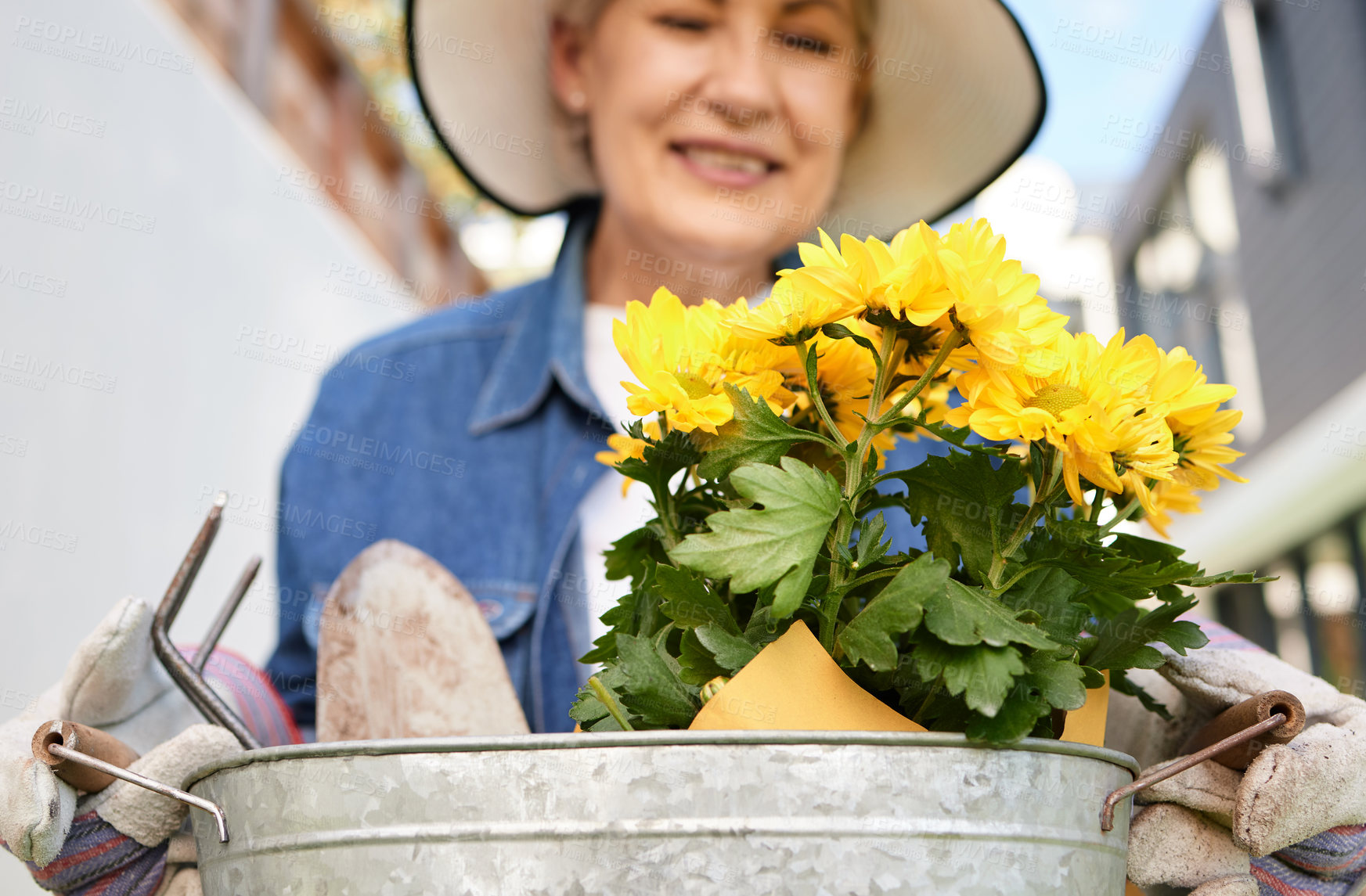 Buy stock photo Senior woman, plants and container in outdoor for happiness, planting floral for earth day. Female person, gardening or flowers in bucket for relaxed retirement, smile in backyard for wellness