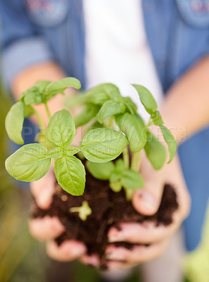 Buy stock photo Hands, soil and plant for earth day in garden with ecology, growth and sustainability in nature. Eco friendly, person and sprout or leaf and dirt for green energy or agriculture in community park 