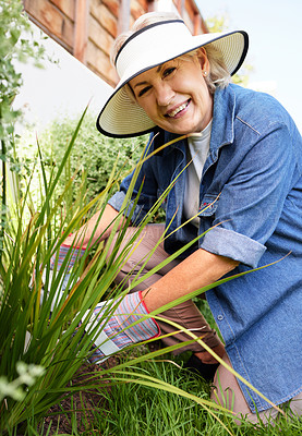 Buy stock photo Happy and mature woman gardening with hat and gloves for protection and eco friendly hobby in retirement. Senior, female person and smile with plant in backyard for sustainable growth and inspection