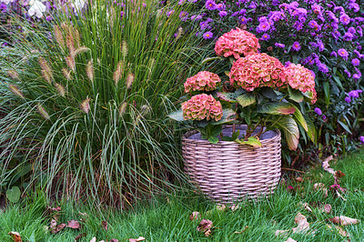 Buy stock photo A series of beautiful garden photos