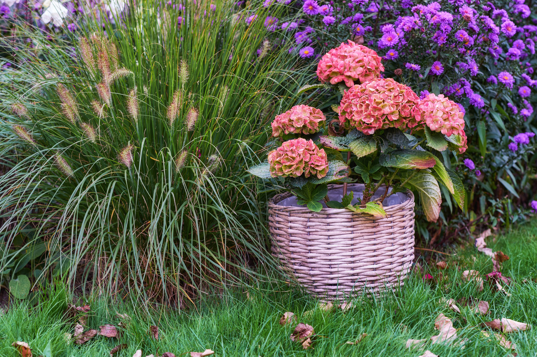 Buy stock photo A series of beautiful garden photos