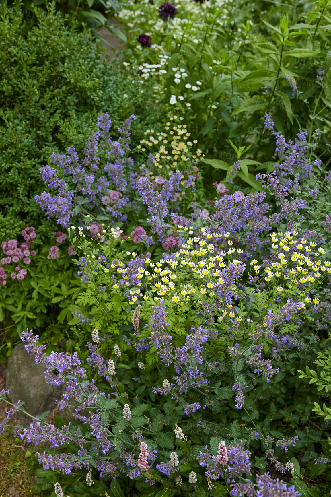 Buy stock photo A series of beautiful garden photos