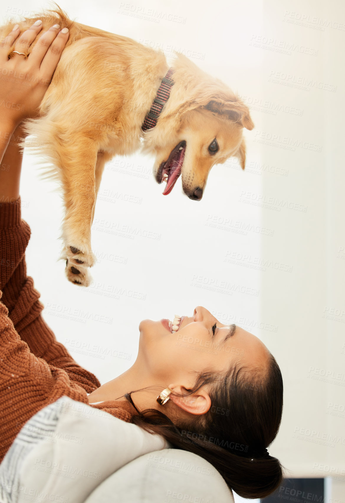 Buy stock photo Shot of an attractive young woman playfully lifting her dog in the air while relaxing on a couch at home