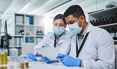 Buy stock photo Science, tablet and team of scientists in a laboratory working on research for a medical project. Face mask, technology and healthcare researchers reading on medicine innovation with digital mobile.