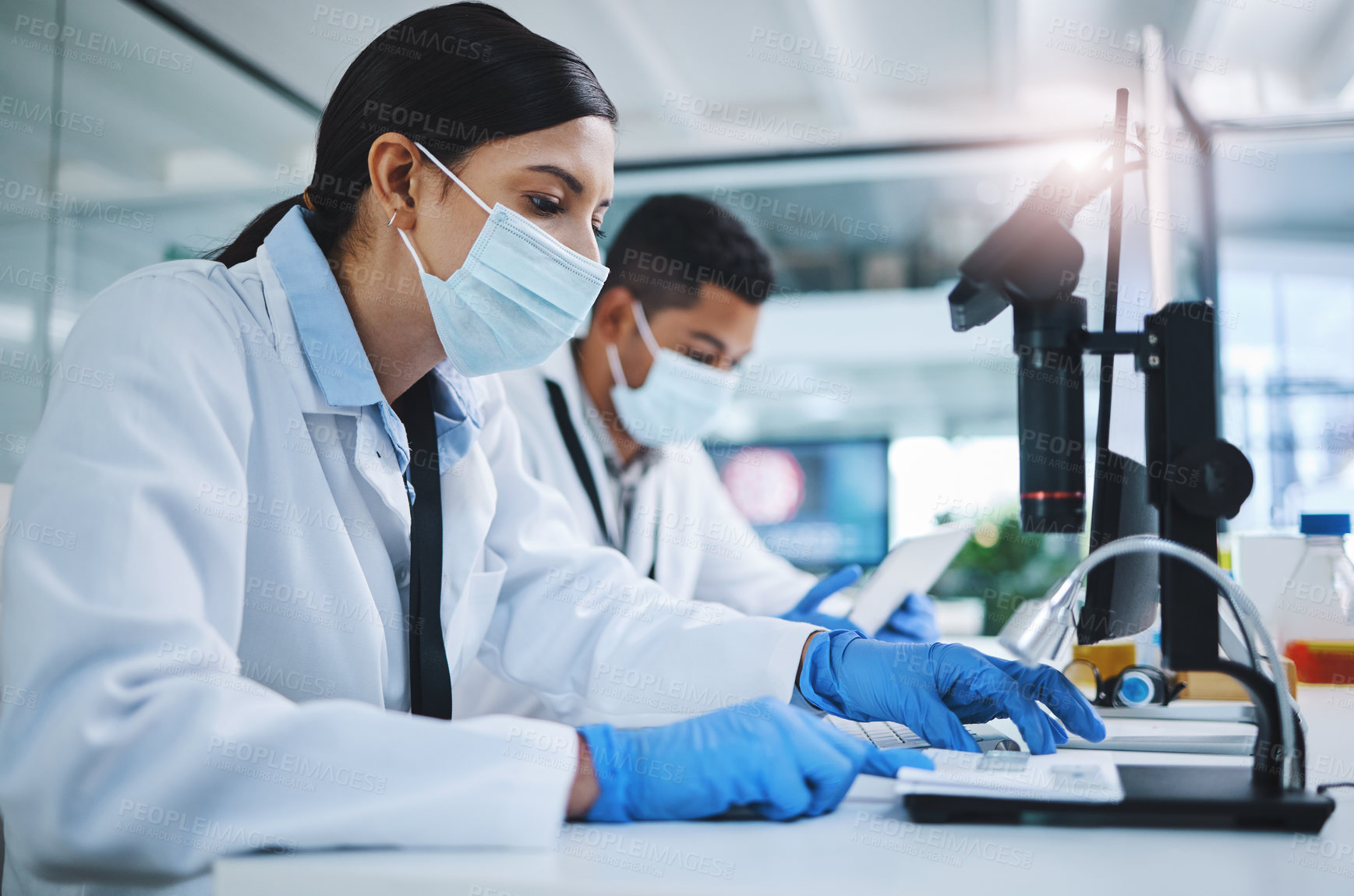 Buy stock photo Woman, microscope and lab for research with face mask, analysis and specimen examination with scientists working. Biotechnology, microorganisms and safety or investigation, professional and equipment